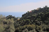 Cinque-Terre_18-sept__0124.jpg