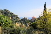 Cinque-Terre_18-sept__0138.jpg