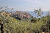 Cinque-Terre_19-sept__0295.jpg