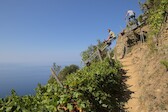 Cinque-Terre_21-sept__0533.jpg