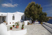 127-Grèce_Sifnos-127.jpg