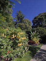 019_Mon-19-September_Como_etc-019.jpg
