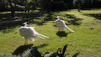 022_Mon-19-September_Como_etc-022.jpg