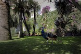 038_Mon-19-September_Como_etc-038.jpg