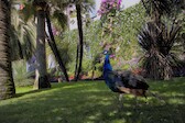 039_Mon-19-September_Como_etc-039.jpg