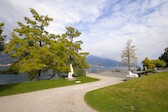 120_Fri-23-September_Como_etc-120.jpg