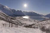 2023-03_Lofoten-366.jpg