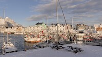 2023-03_Lofoten-471.jpg