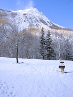 2025-03-Grave-004.jpg